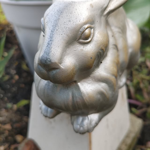 salacocoさんの部屋