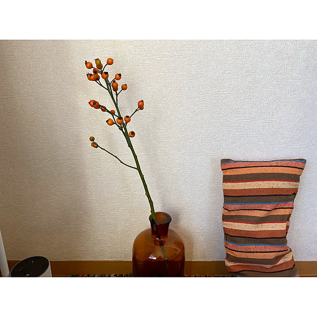 ht6030さんの実例写真