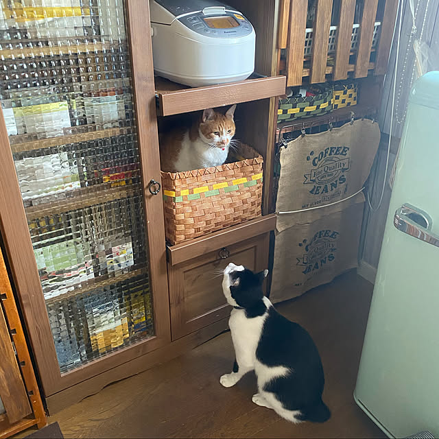 SHIHOさんの実例写真