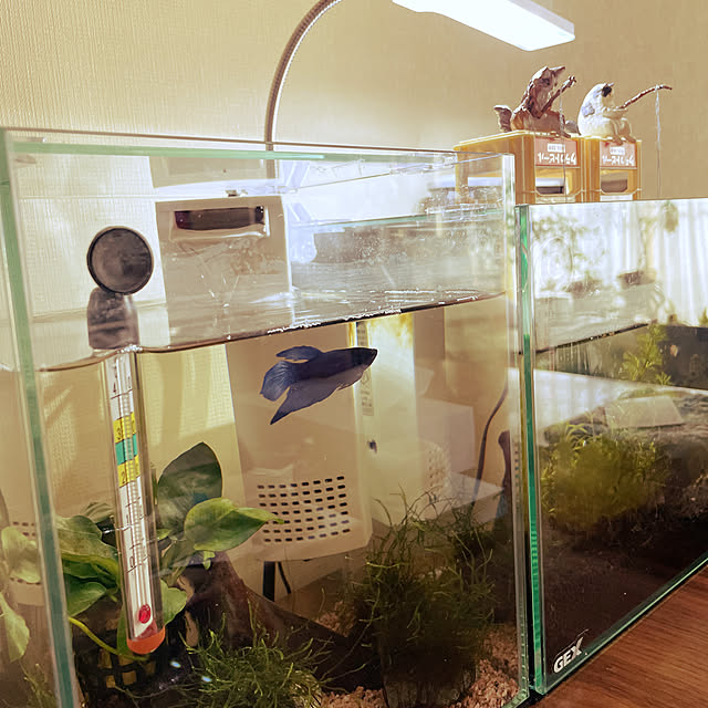 yukiさんの実例写真