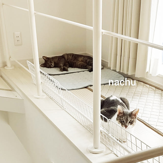 nachuさんの実例写真