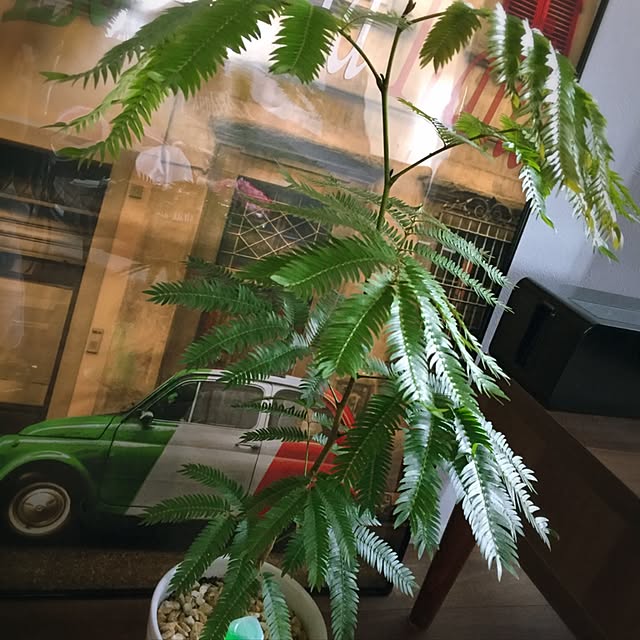 実例写真