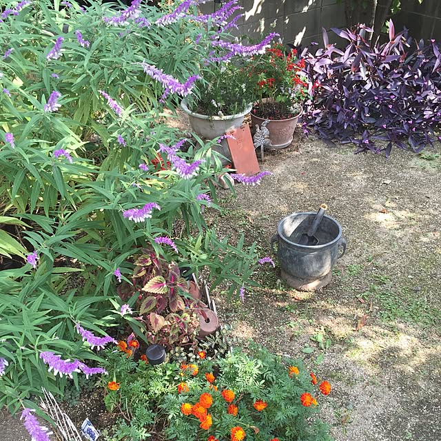 bibianさんの実例写真