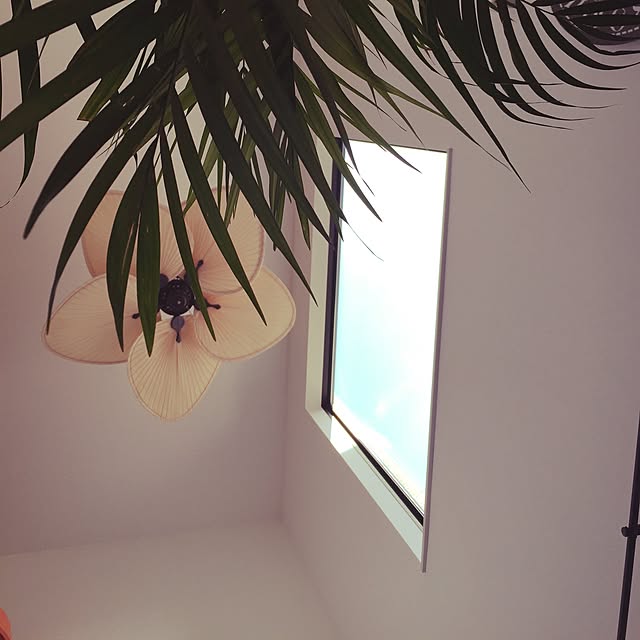 milimiliさんの実例写真