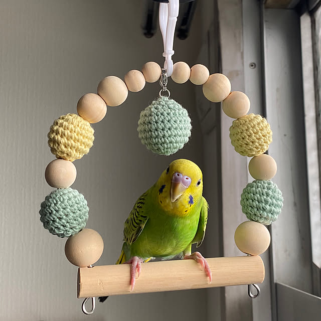 ohanaさんの実例写真