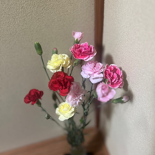 sakakenさんの実例写真