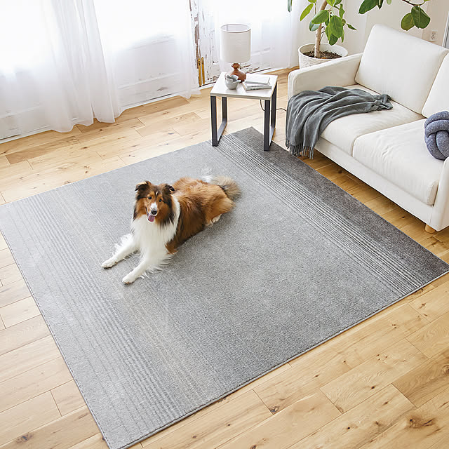 SUNROCK_in_Livingさんの実例写真