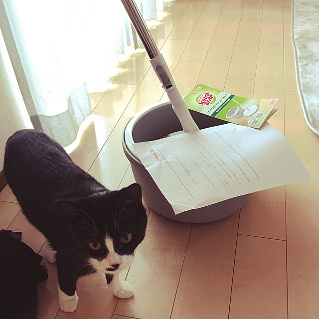 nekoさんの実例写真