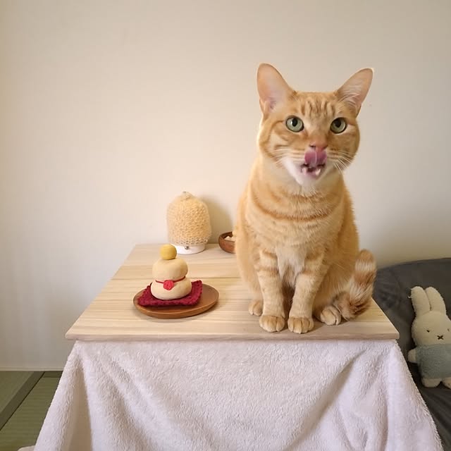 mayutan.さんの部屋