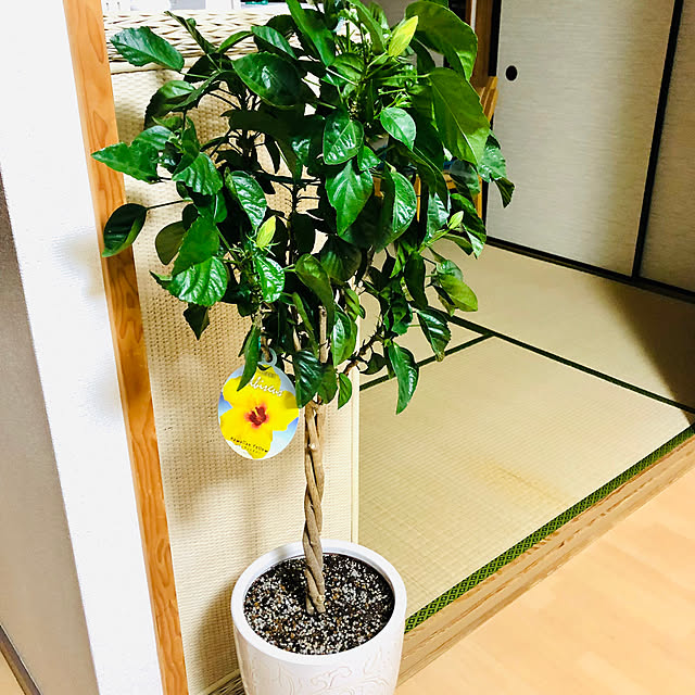 hanachanさんの実例写真