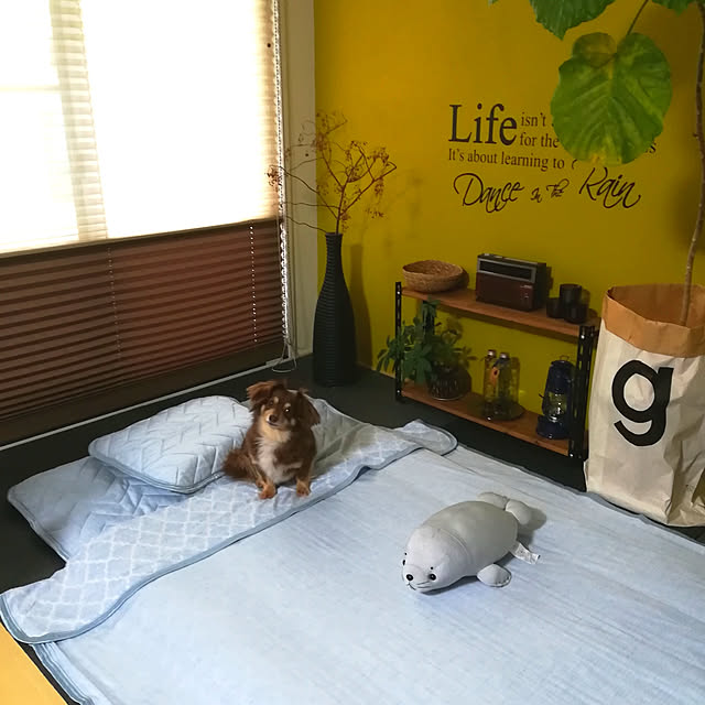 rikakoさんの実例写真