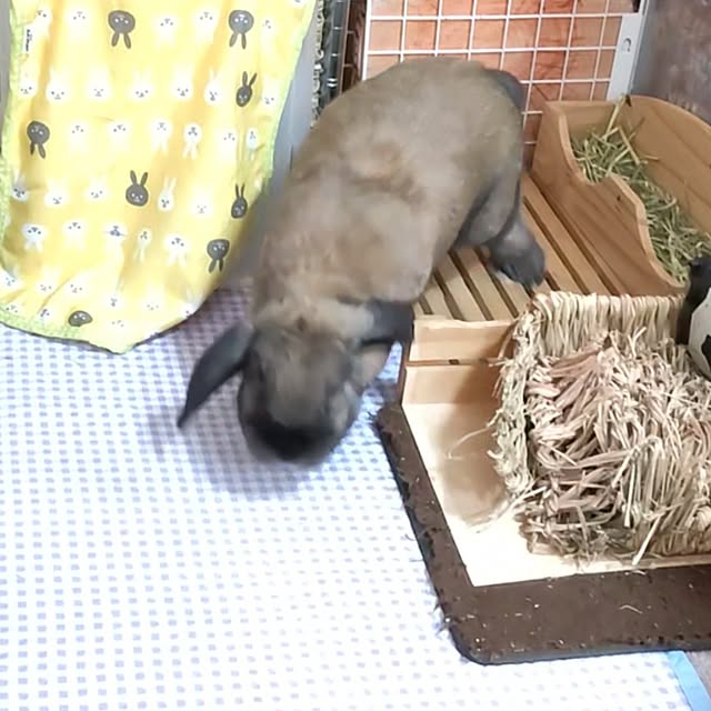 mariaさんの実例写真