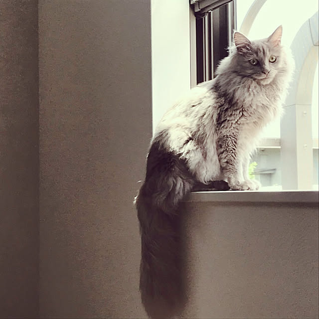 Karinさんの実例写真