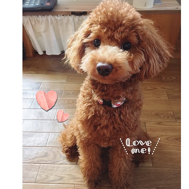 tomoさんの実例写真