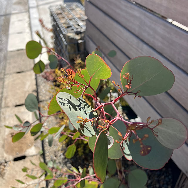 UKAさんの部屋