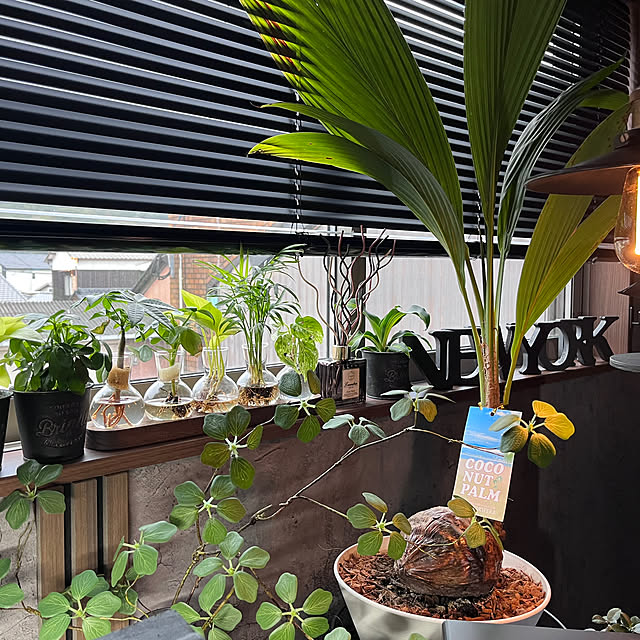 MSHTさんの実例写真