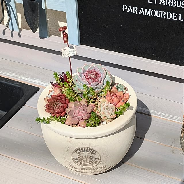 purpureさんの部屋