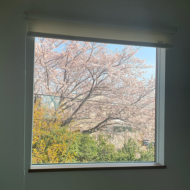 FIX窓/おうち花見/玄関/入り口のインテリア実例 - 2021-03-27 08:41:18