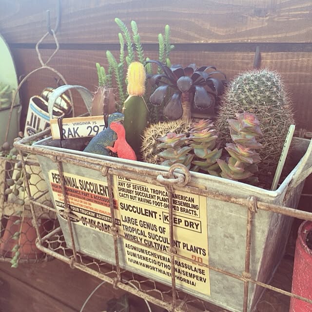 実例写真