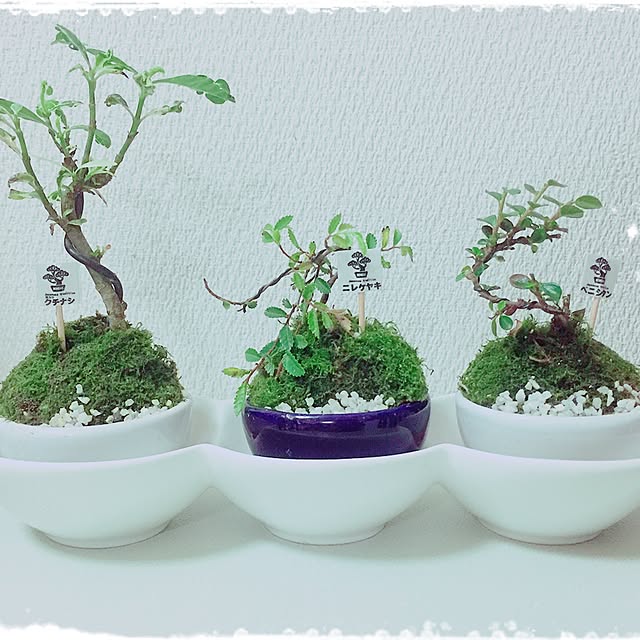 jiminyさんの実例写真
