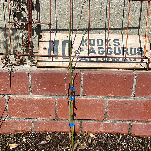 shin0719さんの部屋