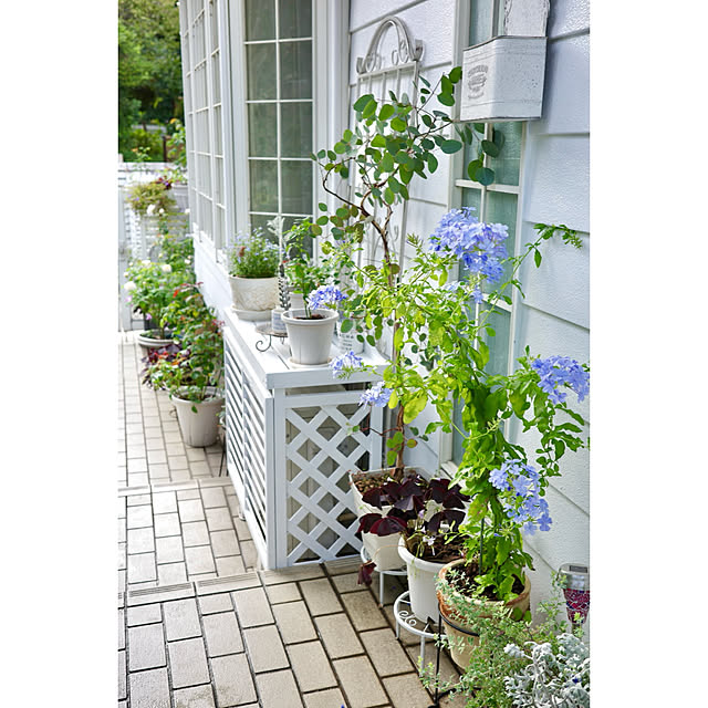 haruisabelさんの部屋