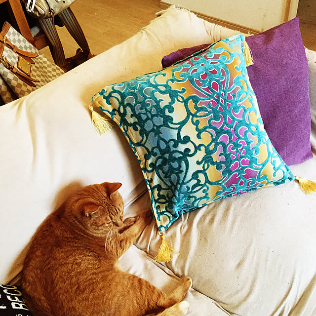 lucaさんの実例写真