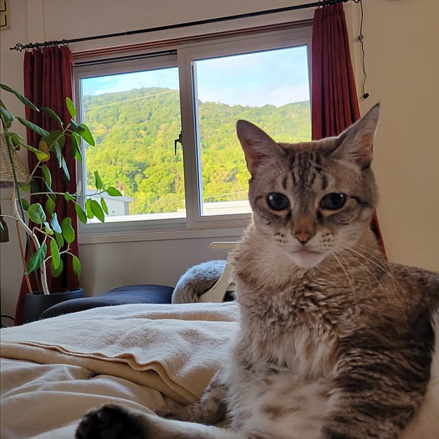 neoさんの実例写真