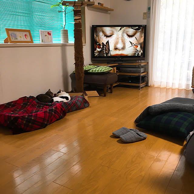nobikoさんの実例写真