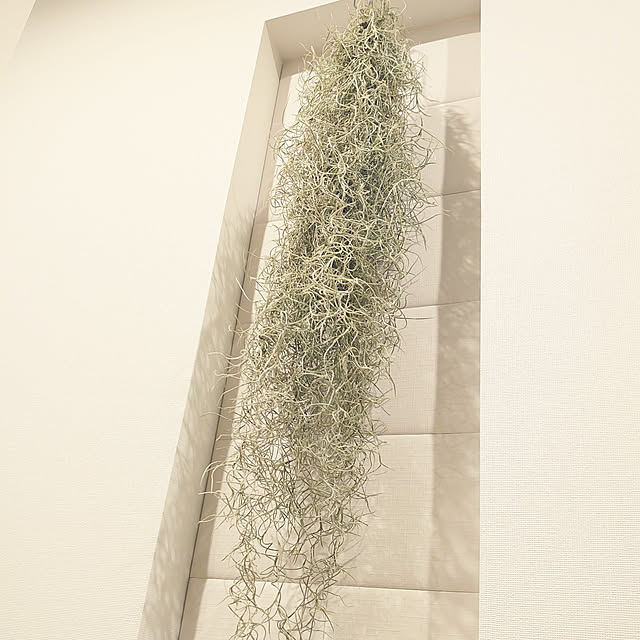 marico0930さんの実例写真