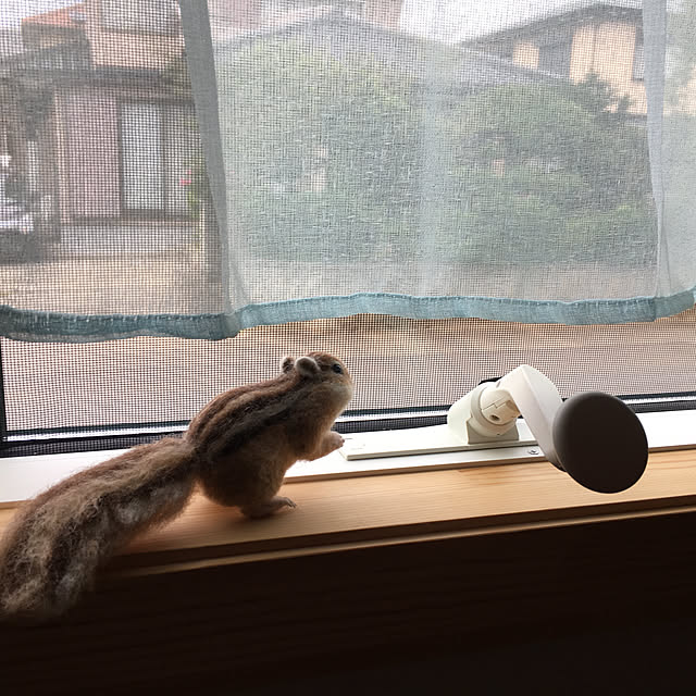 Kazukoさんの実例写真