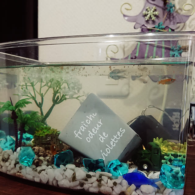 noriさんの実例写真