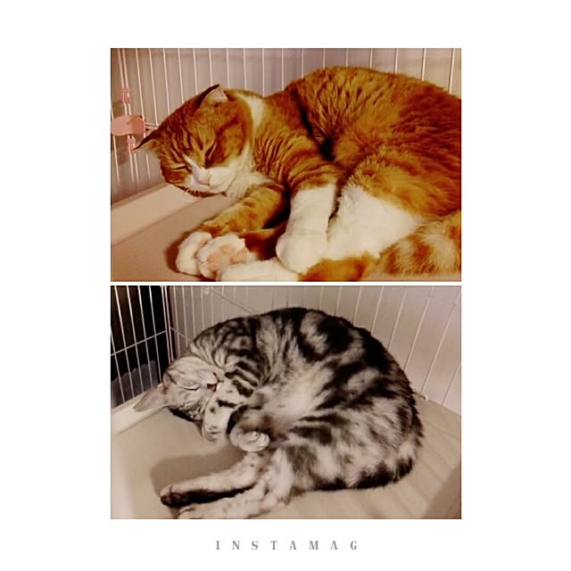 kumingさんの実例写真