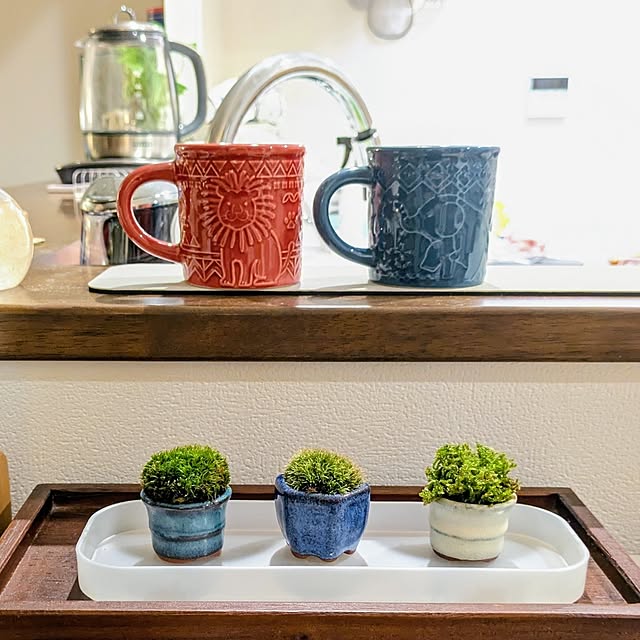 mi-saさんの部屋