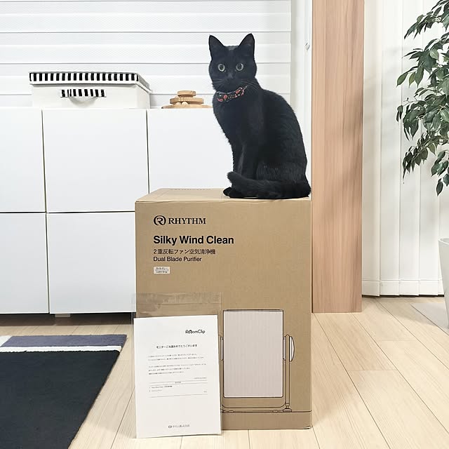 sakuraさんの部屋