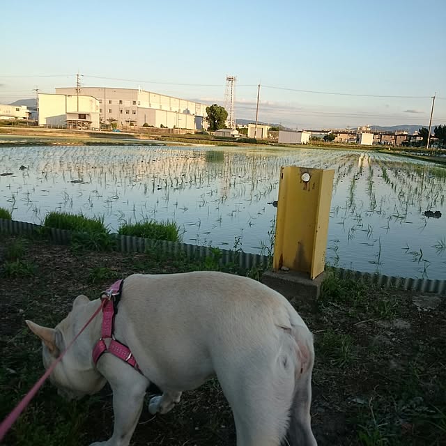 putih0328さんの実例写真