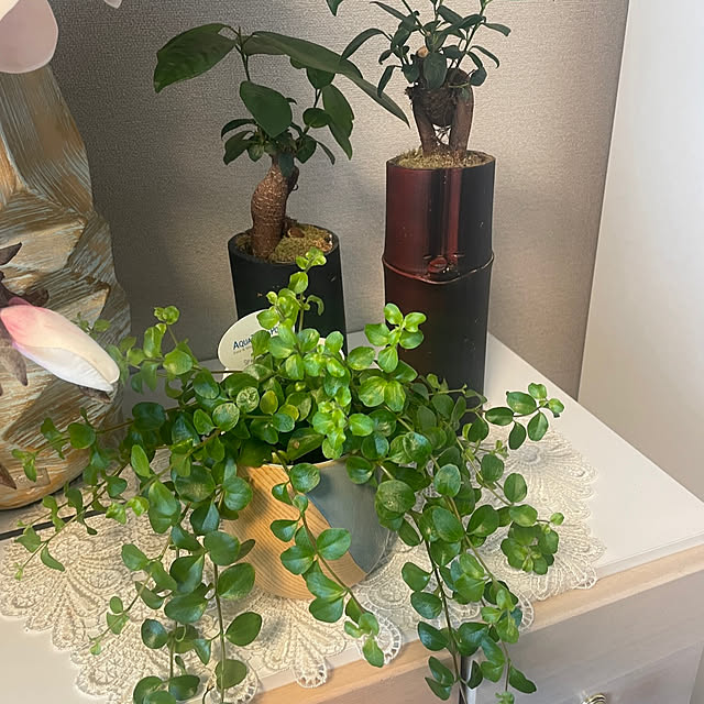 rosebud_615214さんの実例写真