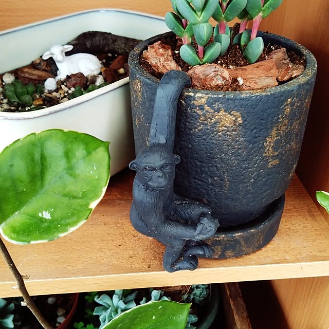 MIPORINNさんの部屋