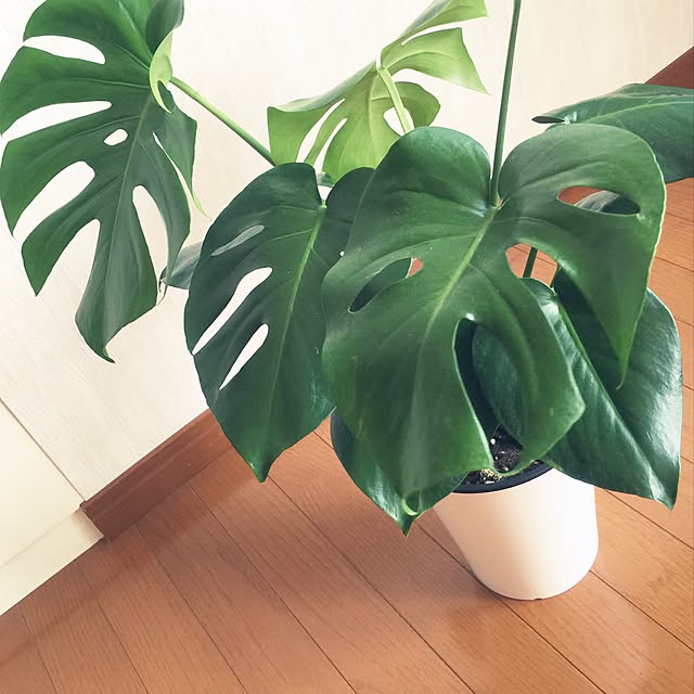 Keiさんの実例写真