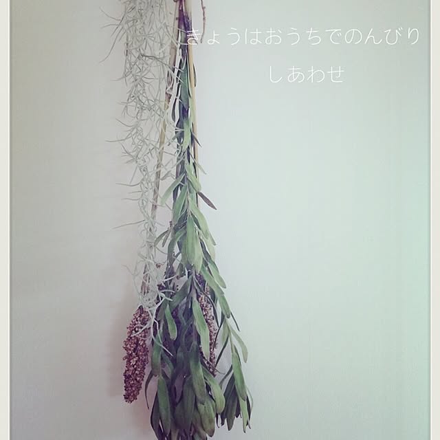 壁/天井/植物/手作り/ドライフラワーのインテリア実例 - 2015-08-09 14:21:06