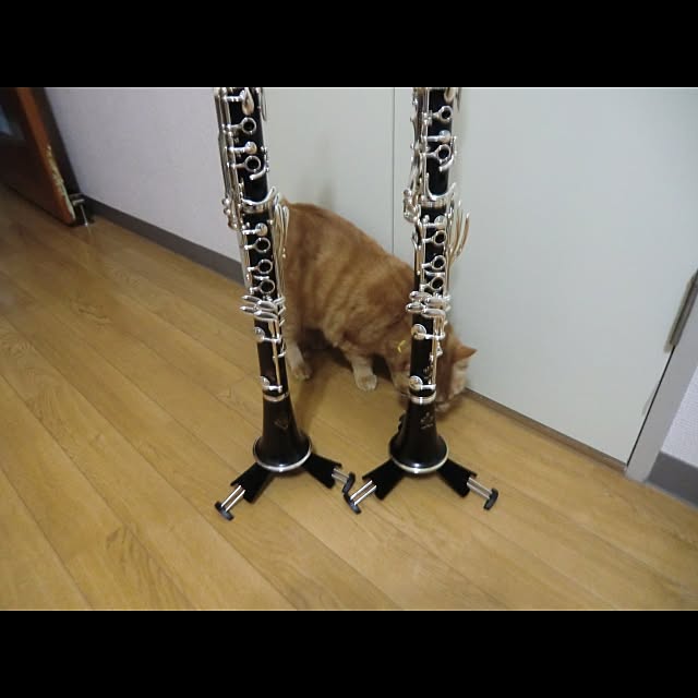 MasaakiMuraishiさんの実例写真