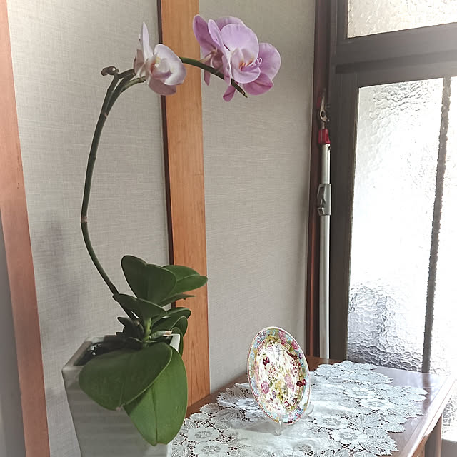 junkn6さんの実例写真