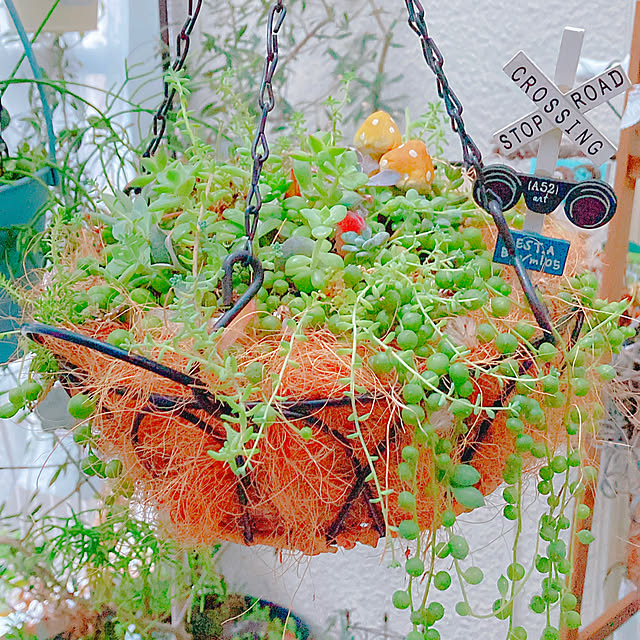 Hanakaさんの部屋