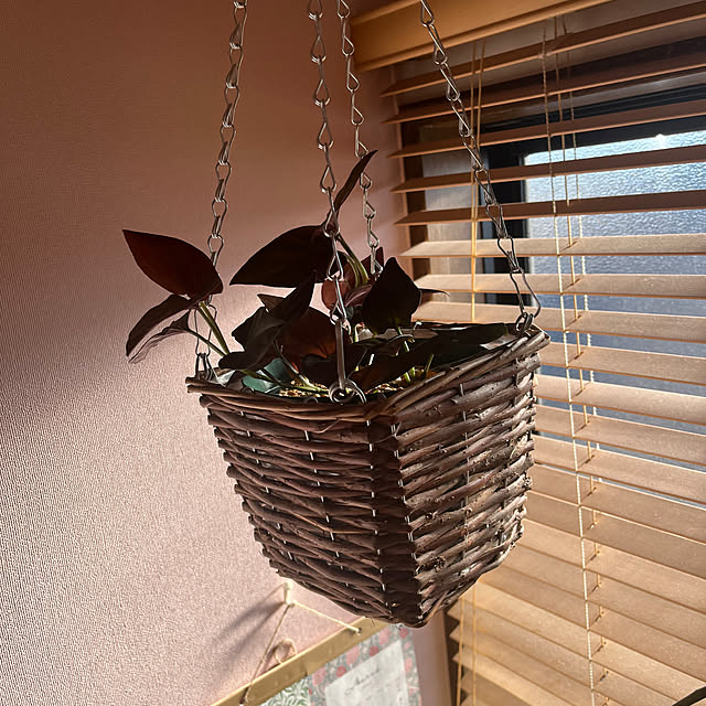 Epice.reiさんの実例写真