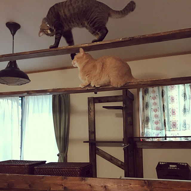 mikan161さんの実例写真