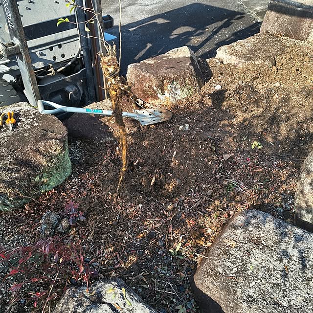 Rubiconさんの部屋