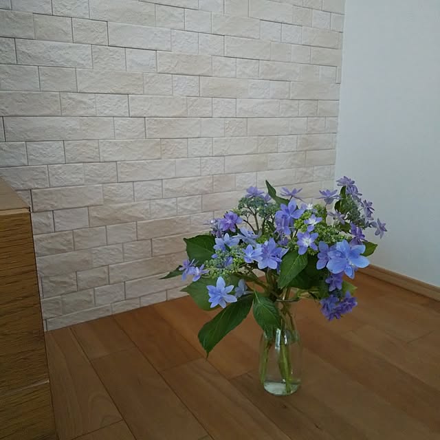 anemone37さんの実例写真