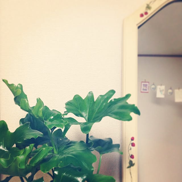 ukimilkさんの実例写真