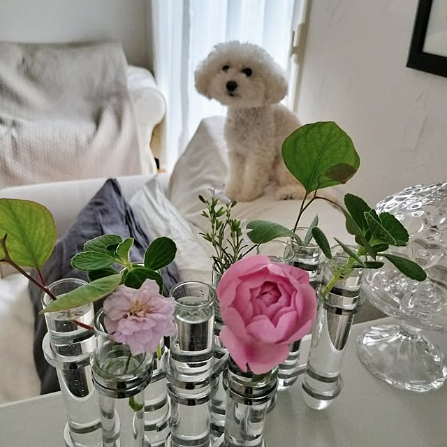 momさんの実例写真