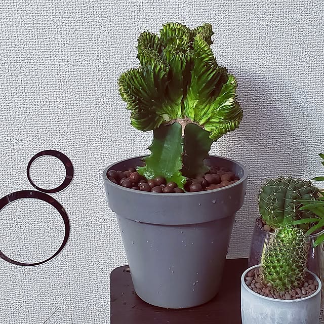 Riokaさんの部屋